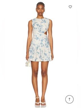 knee length dresses for ladies Lima Wild Mini Dress main image 1